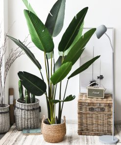 Máy trợ thính có dây Nhật Bản Rionet HA-20DX