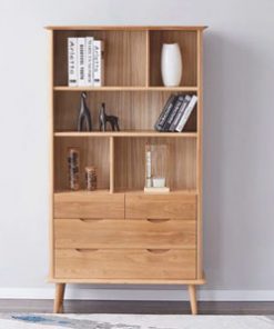 Máy trợ thính giá rẻ không dây Axon C109